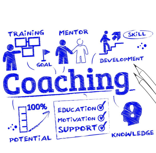 Executive Business Coaching - Strategized Success Academy Curriculum