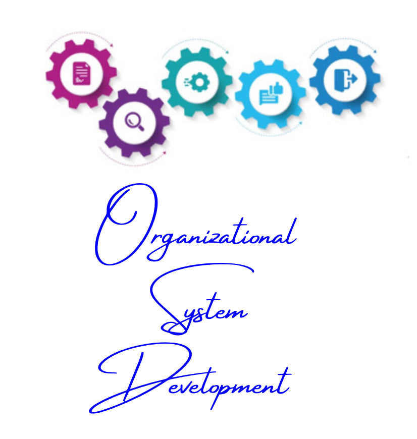 Organizational System Development